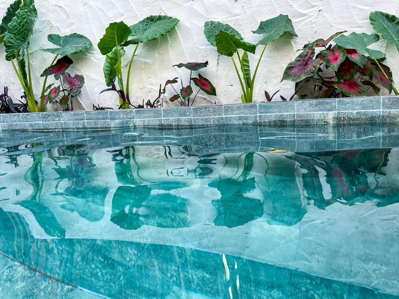 Dumangue Kite House Hotell Guriu Eksteriør bilde